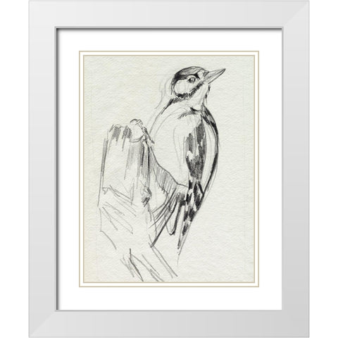 Woodpecker Sketch II White Modern Wood Framed Art Print with Double Matting by Parker, Jennifer Paxton