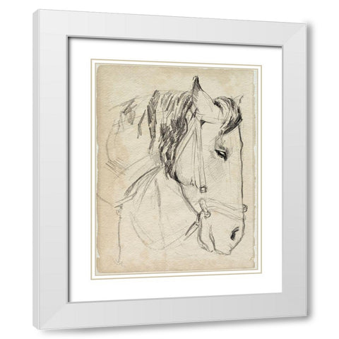 Horse in Bridle Sketch I White Modern Wood Framed Art Print with Double Matting by Parker, Jennifer Paxton