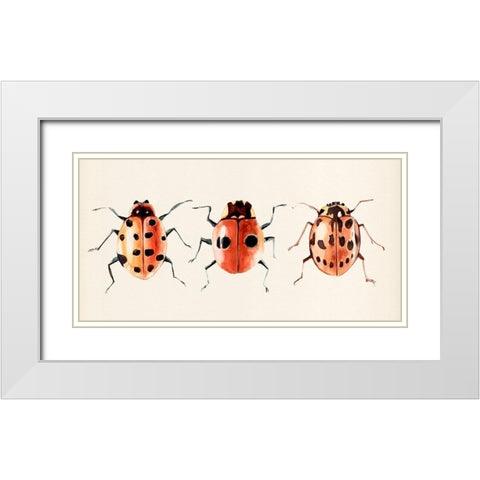 Ladybug Display II White Modern Wood Framed Art Print with Double Matting by Warren, Annie