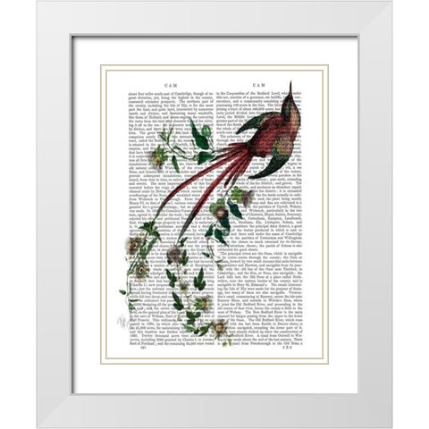 Passion Flower Bird White Modern Wood Framed Art Print with Double Matting by Fab Funky