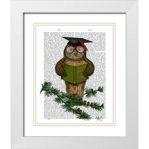 Owl Reading On Branch White Modern Wood Framed Art Print with Double Matting by Fab Funky