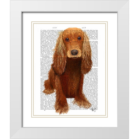 Cocker Spaniel Plain White Modern Wood Framed Art Print with Double Matting by Fab Funky