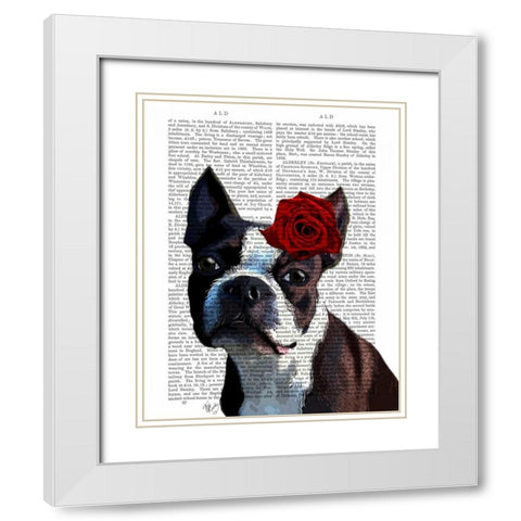 Boston Terrier with Rose on Head White Modern Wood Framed Art Print with Double Matting by Fab Funky