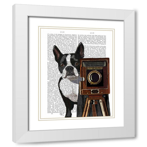 Boston Terrier Photographer White Modern Wood Framed Art Print with Double Matting by Fab Funky