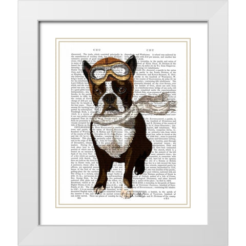 Boston Terrier Flying Ace White Modern Wood Framed Art Print with Double Matting by Fab Funky