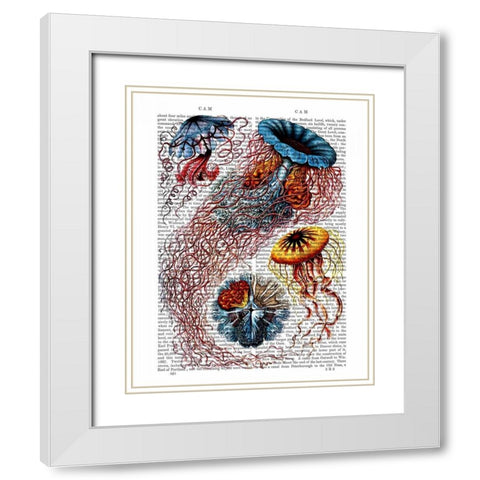 Sea Anemone White Modern Wood Framed Art Print with Double Matting by Fab Funky