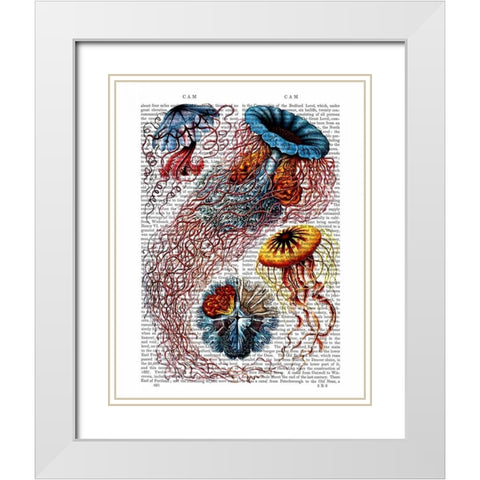 Sea Anemone White Modern Wood Framed Art Print with Double Matting by Fab Funky