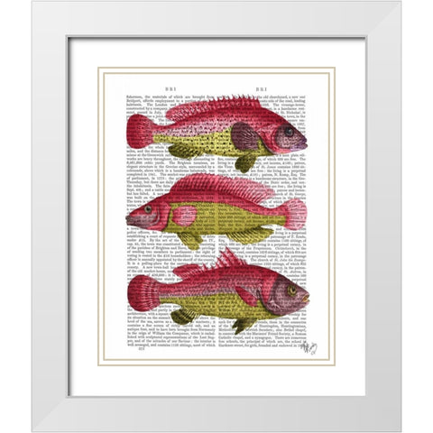Red and Yellow Fantasy Fish Trio White Modern Wood Framed Art Print with Double Matting by Fab Funky