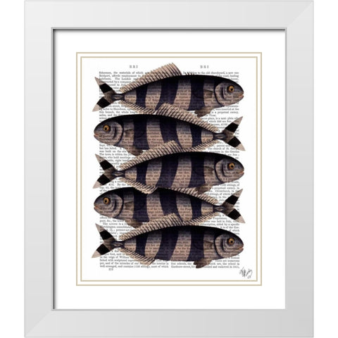 Five Striped Fish White Modern Wood Framed Art Print with Double Matting by Fab Funky