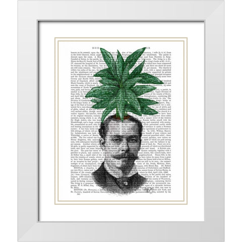 Chinese Evergreen Head Plant Head White Modern Wood Framed Art Print with Double Matting by Fab Funky