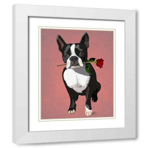 Boston Terrier with Rose in Mouth White Modern Wood Framed Art Print with Double Matting by Fab Funky