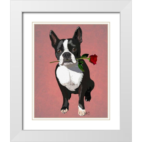 Boston Terrier with Rose in Mouth White Modern Wood Framed Art Print with Double Matting by Fab Funky
