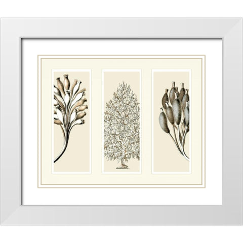 Trio Sea Sponges on 3 Panels White Modern Wood Framed Art Print with Double Matting by Fab Funky