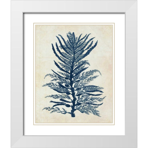 Indigo Blue Seaweed 1 b White Modern Wood Framed Art Print with Double Matting by Fab Funky