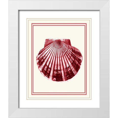 Mixed Nautical Coral on Cream b White Modern Wood Framed Art Print with Double Matting by Fab Funky