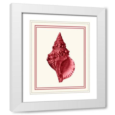 Mixed Nautical Coral on Cream c White Modern Wood Framed Art Print with Double Matting by Fab Funky