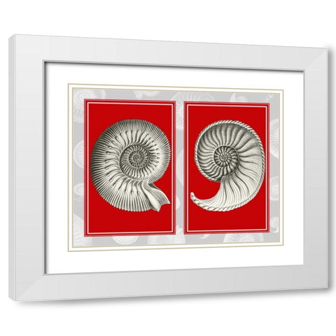 Nautilus Shells On Red White Modern Wood Framed Art Print with Double Matting by Fab Funky