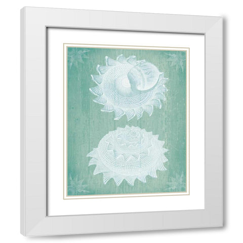 Shells White on Turquoise White Modern Wood Framed Art Print with Double Matting by Fab Funky