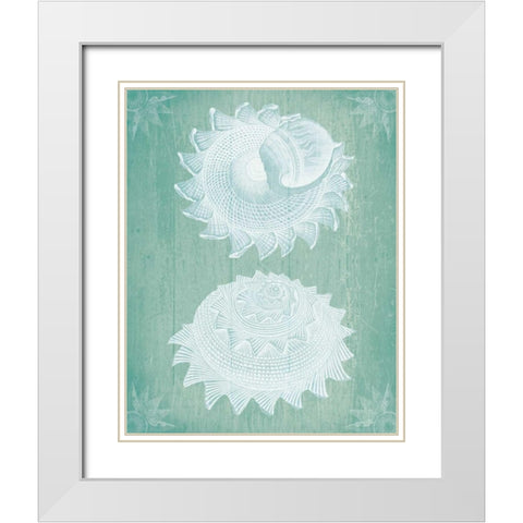 Shells White on Turquoise White Modern Wood Framed Art Print with Double Matting by Fab Funky