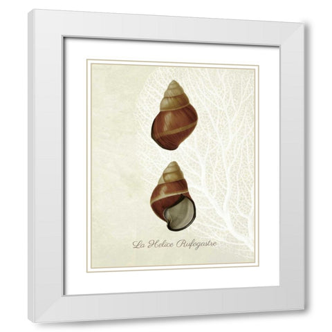 French Shell Print a White Modern Wood Framed Art Print with Double Matting by Fab Funky