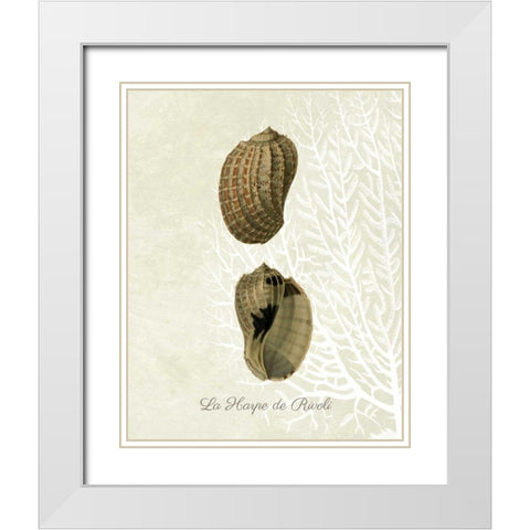 French Shell Print c White Modern Wood Framed Art Print with Double Matting by Fab Funky