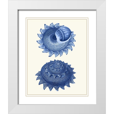 2 Blue Shells b White Modern Wood Framed Art Print with Double Matting by Fab Funky