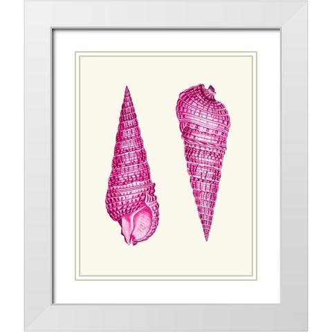 Pink Shells a White Modern Wood Framed Art Print with Double Matting by Fab Funky