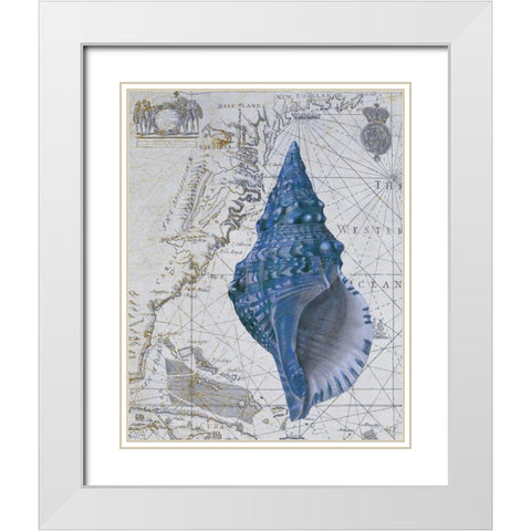 Seashell Collection 1 a White Modern Wood Framed Art Print with Double Matting by Fab Funky