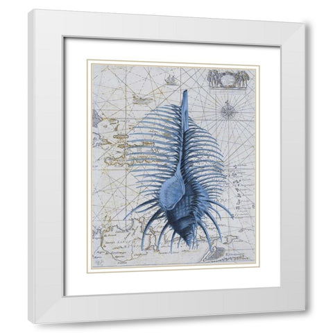 Seashell Collection 1 b White Modern Wood Framed Art Print with Double Matting by Fab Funky