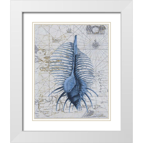 Seashell Collection 1 b White Modern Wood Framed Art Print with Double Matting by Fab Funky