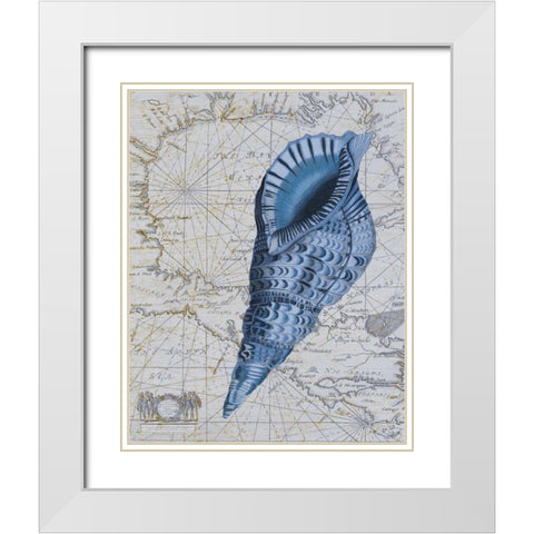 Seashell Collection 1 c White Modern Wood Framed Art Print with Double Matting by Fab Funky