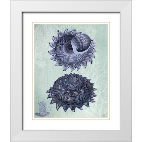 Seashell Collection 2 b White Modern Wood Framed Art Print with Double Matting by Fab Funky