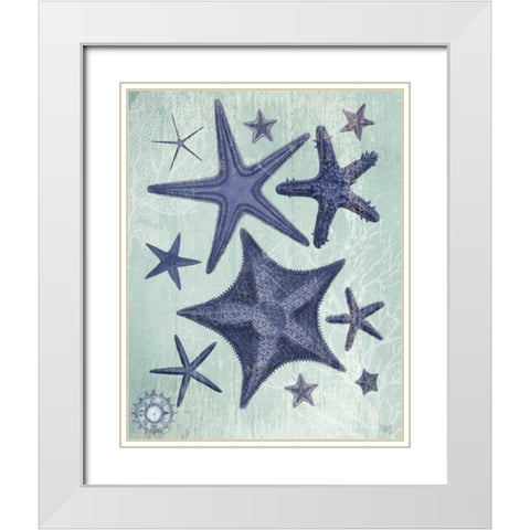 Seashell Collection 2 d White Modern Wood Framed Art Print with Double Matting by Fab Funky