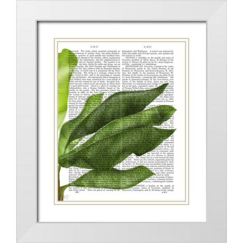 Banana Leaves 1, Green on White White Modern Wood Framed Art Print with Double Matting by Fab Funky