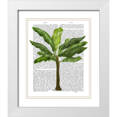 Banana Tree 1 White Modern Wood Framed Art Print with Double Matting by Fab Funky