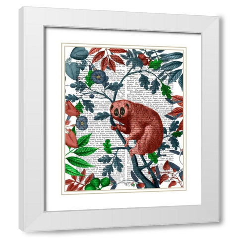 Slow Loris, Orange White Modern Wood Framed Art Print with Double Matting by Fab Funky