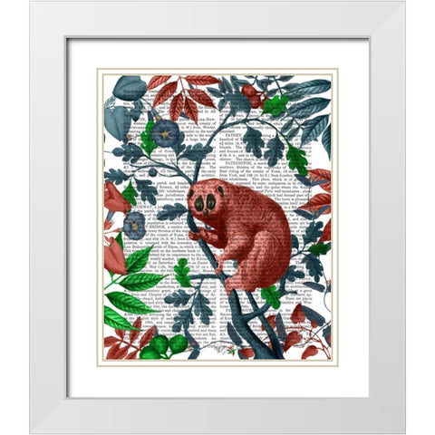 Slow Loris, Orange White Modern Wood Framed Art Print with Double Matting by Fab Funky