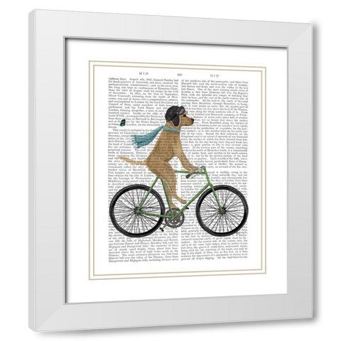 Yellow Labrador in Flying Helmet on Bicycle White Modern Wood Framed Art Print with Double Matting by Fab Funky