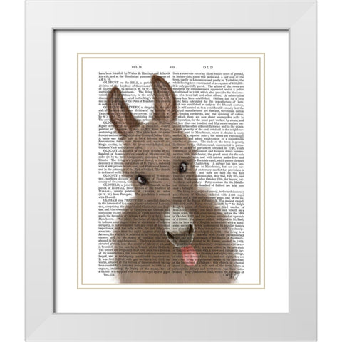 Funny Farm Donkey 2 Book Print White Modern Wood Framed Art Print with Double Matting by Fab Funky