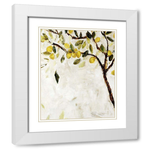 Meyer Lemon Tree White Modern Wood Framed Art Print with Double Matting by Maas, Jodi