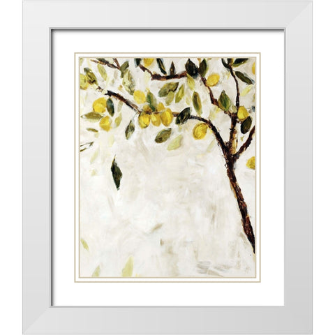 Meyer Lemon Tree White Modern Wood Framed Art Print with Double Matting by Maas, Jodi