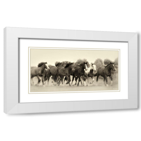 Running Free White Modern Wood Framed Art Print with Double Matting by Drost, David