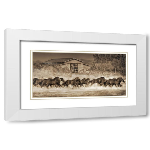 A Dozen Quarters White Modern Wood Framed Art Print with Double Matting by Drost, David