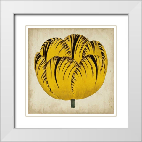 Pop Floral I White Modern Wood Framed Art Print with Double Matting by Vision Studio