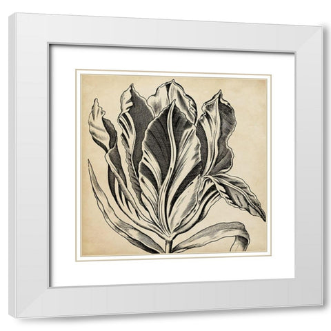 Graphic Floral I White Modern Wood Framed Art Print with Double Matting by Vision Studio