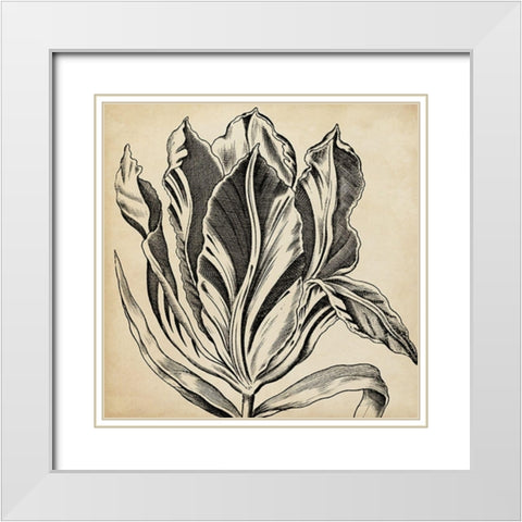 Graphic Floral I White Modern Wood Framed Art Print with Double Matting by Vision Studio