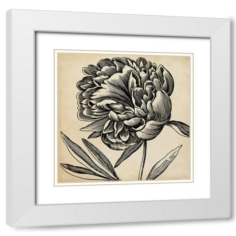 Graphic Floral II White Modern Wood Framed Art Print with Double Matting by Vision Studio