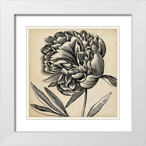 Graphic Floral II White Modern Wood Framed Art Print with Double Matting by Vision Studio