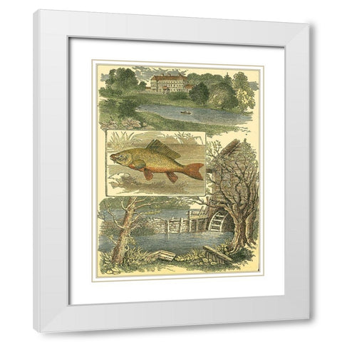 Fishermans Vignette I White Modern Wood Framed Art Print with Double Matting by Vision Studio