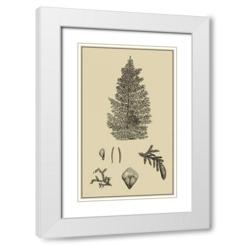 Arbor Study I White Modern Wood Framed Art Print with Double Matting by Vision Studio